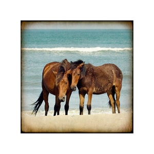 Mare & Colt Wild Horses on Beach, Coastal Décor for Home, Mustangs Photography, Print or Canvas Art, Mustangs, Ocean, Beach Cottage Decor image 4