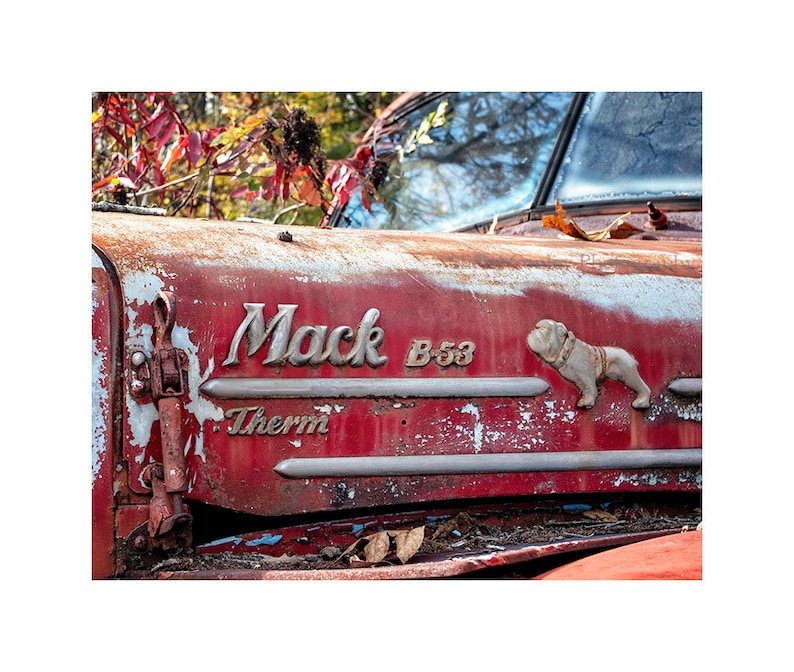 Mack B53 in Red Vintage Mack Truck Photography, Junkyard Print or Canvas Wrap, Antique Old Rusty Truck, Rustic Print, Farmhouse Wall Art image 3