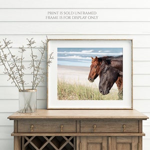 The Wild Pair Horses on the Beach Photography, Wild Spanish Mustangs Photograph, Room Decor, Large Wall Art, OBX Photo, Outer Banks Print image 4