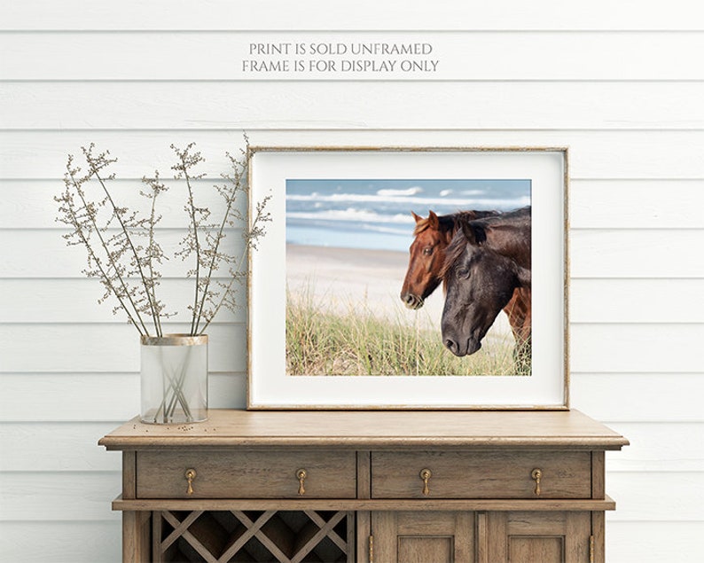 The Wild Pair Horses on the Beach Photography, Wild Spanish Mustangs Photograph, Room Decor, Large Wall Art, OBX Photo, Outer Banks Print image 4