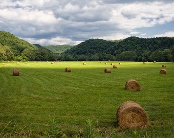 Farm Photography, Nature Print or Canvas Wrap, Country Art, Rural, Hay Bales, Hay Harvest, Mountains, Pastures, Farm House Decor - Harvest