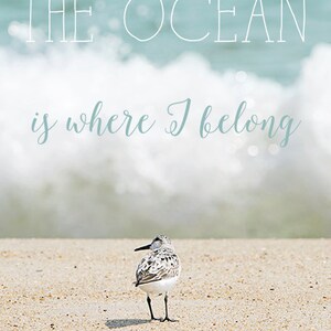 Inspirational Quote, Ocean Photo, Canvas Wrap or Print, Sandpiper, Nautical Seascape Art, Beach House Decor The Ocean is Where I Belong image 2