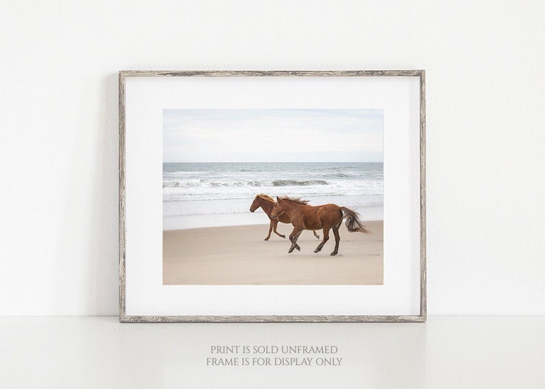Horse Photo, Wild Horse Art, Print or Canvas, Large Wall Decor, Rustic Art, Animal Photograph, Spanish Mustangs, Beach Ocean Running Wild image 1