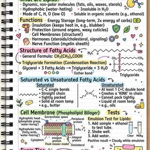 May include: A detailed, handwritten page from a notebook titled "Lipids - Quick Notes." The notes cover lipid definitions, functions, and structures, including saturated and unsaturated fatty acids, and cell membranes. Diagrams and examples are included.