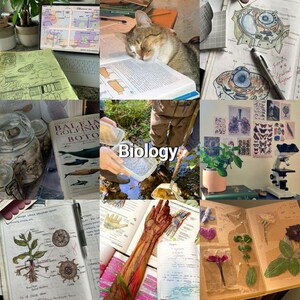 Biology Statistics Cheat Sheet | Exam Study Guide (PDF)