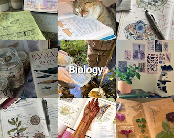 Biologie Statistik Spickzettel | Prüfungsleitfaden (PDF)