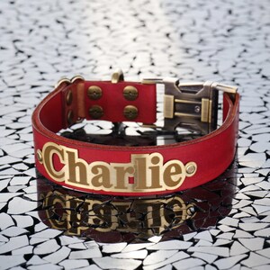 Personalized Leather Dog Collar: Engraved Brass Name Plate, Safety Buckle