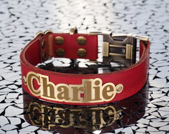 Personalized Leather Dog Collar with Brass Name Plate, Engraved Buckle with Phone Number for Added Safety, Durable & Stylish Pet Accessory