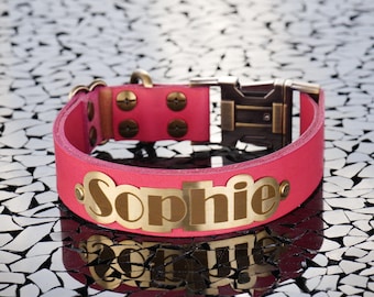 Leather dog collar