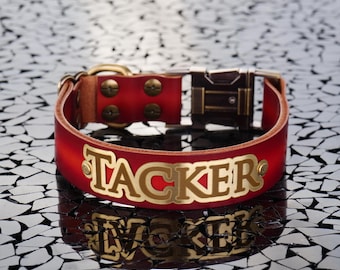 Custom Leather Dog Collar with Personalized Brass Plate, Personalized Dog Collar, Leather Dog Collar with Name Plate, Engraved Dog Collar