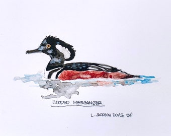 May include: Watercolor painting of a hooded merganser duck swimming in water. The duck is black, white, and red with a yellow eye. The painting is signed "L. Jackson Doyle 24'" and titled "Hooded Merganser".