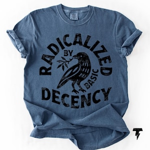 Radicalized By Basic Decency Comfort Colors T-shirt, Activist Tee Denim