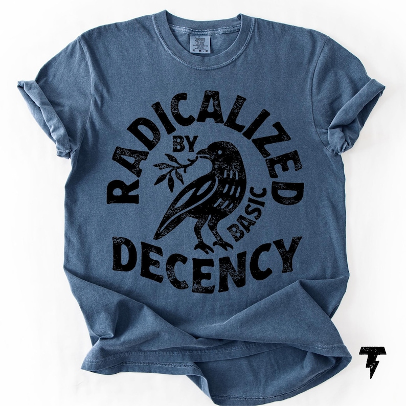 Radicalized By Basic Decency Comfort Colors T-shirt, Activist Tee Denim