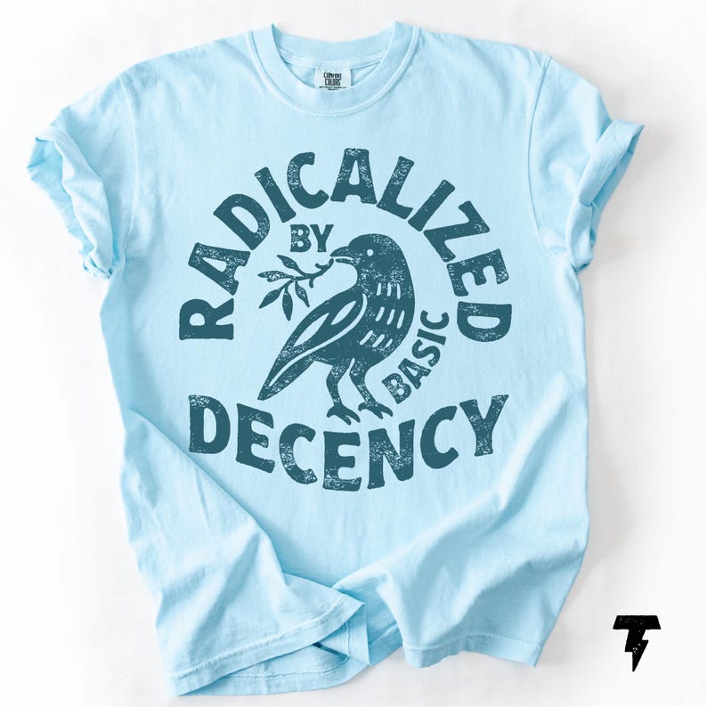 Radicalized By Basic Decency Comfort Colors T-shirt, Activist Tee Chambray