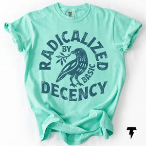 Radicalized By Basic Decency Comfort Colors T-shirt, Activist Tee Island Reef