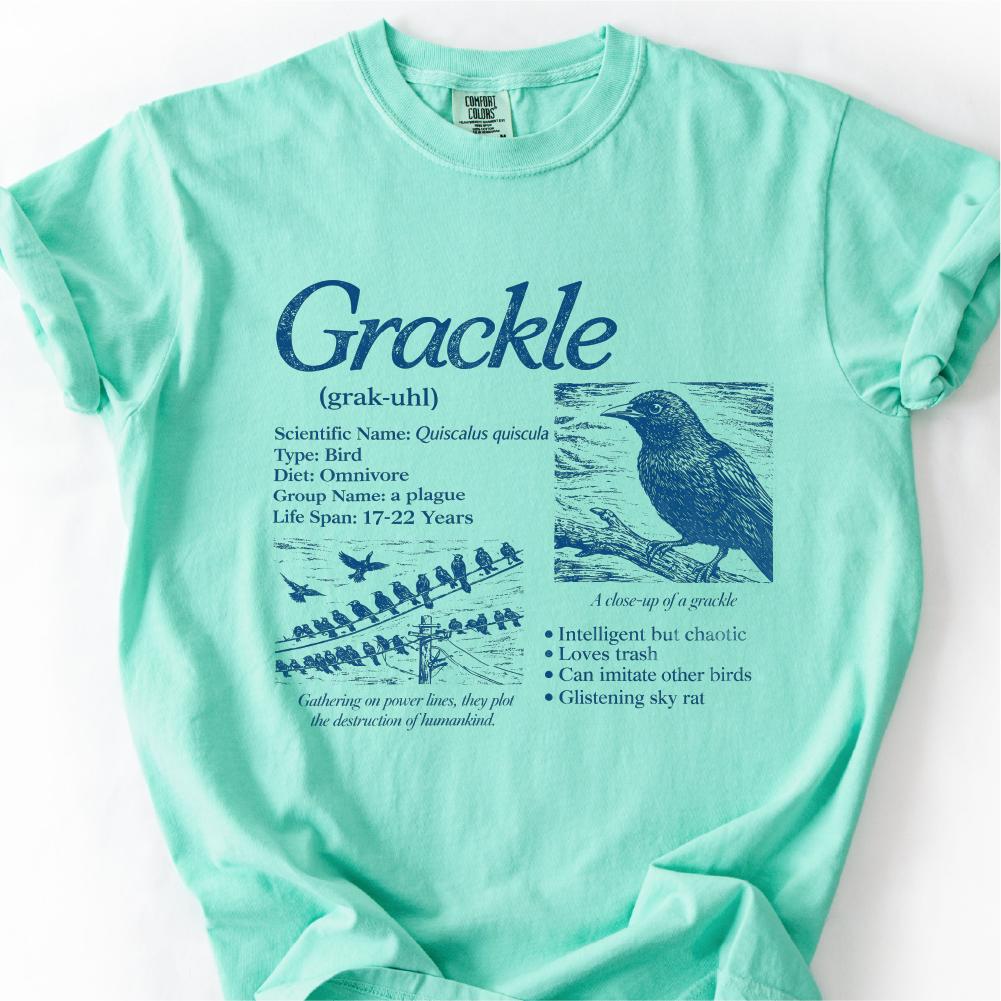 Grackle Encyclopedia Shirt, Funny Birdwatcher Tee, Common Grackle