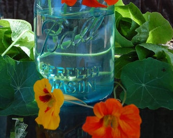Garden Flowers - Blue Mason Jar - Greeting Cards, Spring, Nasturtium Flowers, Yellow, Orange