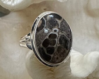 Beautiful Turtella Jasper Ring Size 6