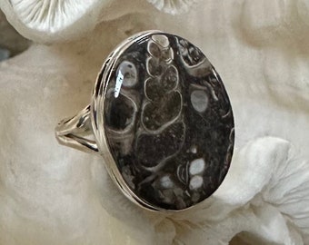 Beautiful Turtella Jasper Ring Size 10.5