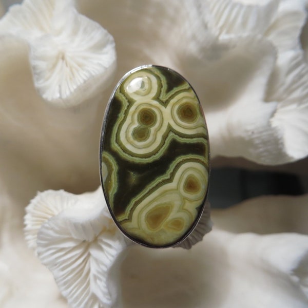 Beautiful Ocean Jasper Ring Size 6.5