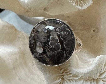 Beautiful Turtella Jasper Ring Size 9