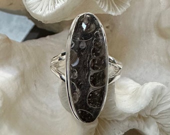 Beautiful Turtella Jasper Ring Size 7.5