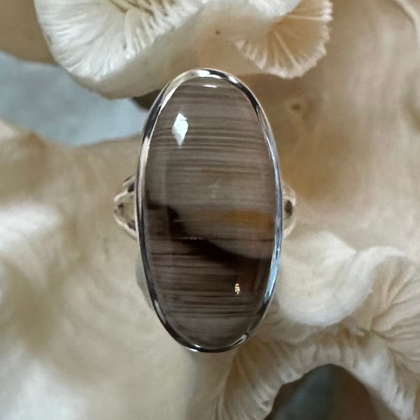Petrified Wood Ring - Etsy