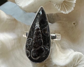 Beautiful Turtella Jasper Ring Size 8.25