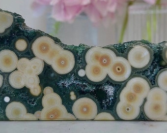 Beautiful Green Super Druzy Ocean Jasper Polished Display Collectable Slab Slice