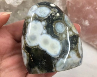 Beautiful Standing Ocean Jasper Glossy Polished Display Collectable Core