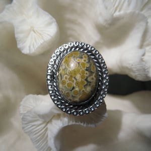 Beautiful Ocean Jasper Ring Size 8.5