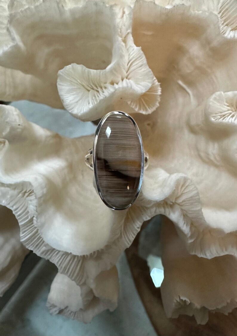 Beautiful Modern Petrified Wood Ring Size 8 Etsy