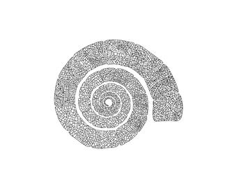 May include: A black and white line art illustration of a spiral seashell. The shell is composed of numerous small, irregular geometric segments and intricate patterns that fill the entire coiled shape, creating a detailed mosaic-like texture.
