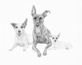 Custom PRINTABLE Pet Portrait, Custom Dog art, Pencil Sketch From Photo, Personalized Pet Art, Pet Memorial, Dog Drawing, digital JPG file,
