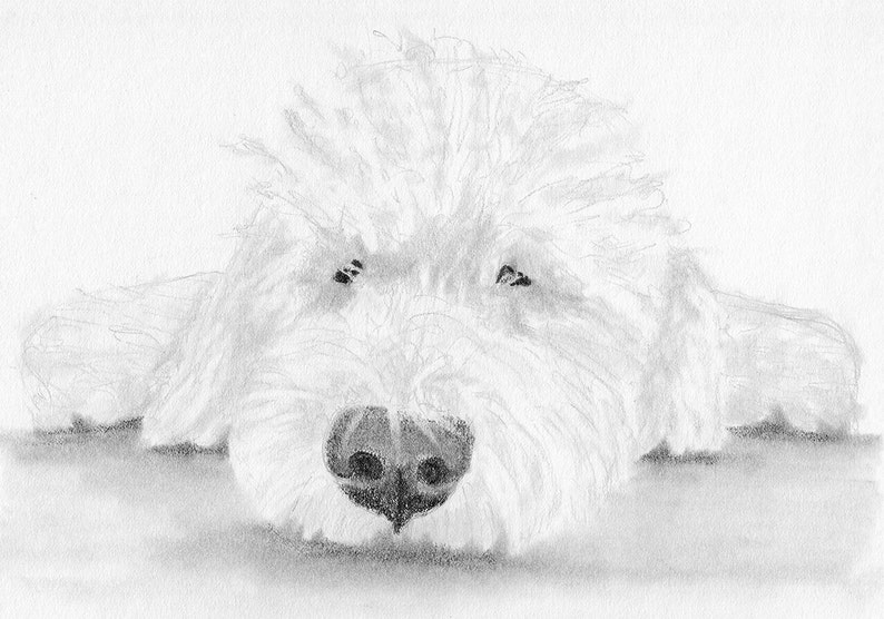 Pet Portrait Pet Memorial Sketch From Photo DIY Printable Dog Drawing Custom Dog Art Pencil Sketch Inklets Personalized Gift