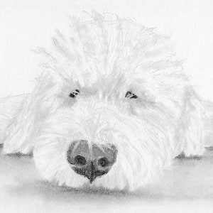 Custom Printable Pet Drawing, Pencil Sketch From Photo, Digital File, Personalized Gift, Pet Memorial, Dog Drawing, Inklets image 9