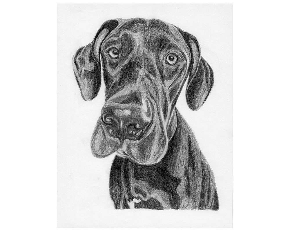 Custom PRINTABLE Pet Portrait Custom Dog Art Pencil Sketch | Etsy