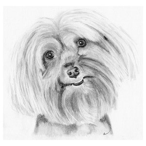 Custom Printable Pet Drawing, Pencil Sketch From Photo, Digital File, Personalized Gift, Pet Memorial, Dog Drawing, Inklets image 7