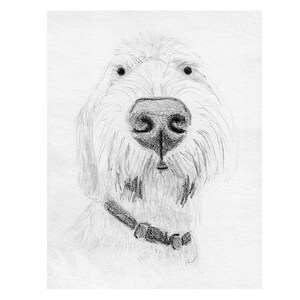 Custom Printable Pet Drawing, Pencil Sketch From Photo, Digital File, Personalized Gift, Pet Memorial, Dog Drawing, Inklets image 1