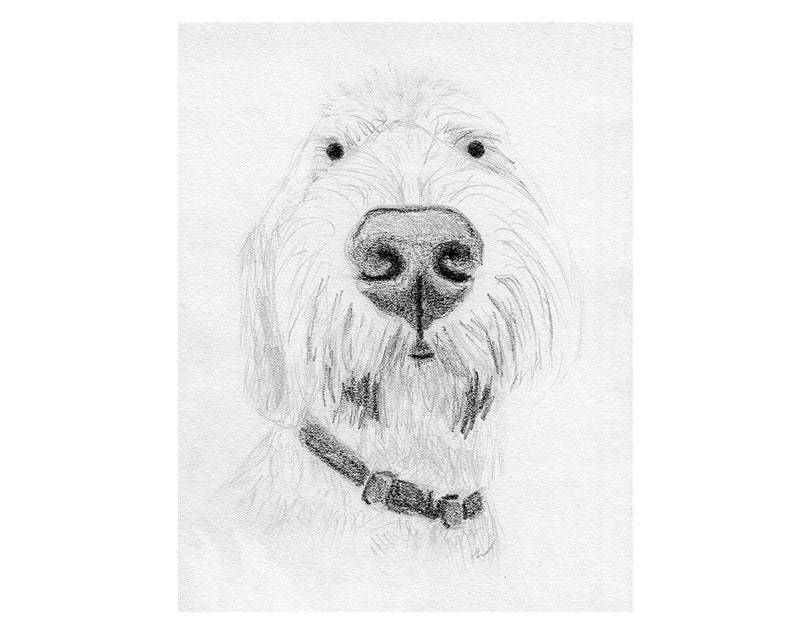 Custom Printable Pet Drawing, Pencil Sketch From Photo, Digital File, Personalized Gift, Pet Memorial, Dog Drawing, Inklets image 1