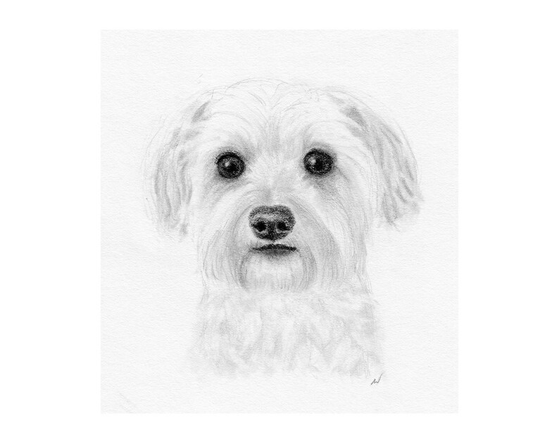 Pet Portrait Pet Memorial Sketch From Photo DIY Printable Dog Drawing Custom Dog Art Pencil Sketch Inklets Personalized Gift