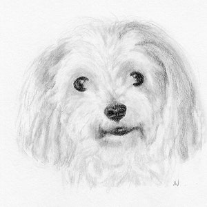 Custom Printable Pet Drawing, Pencil Sketch From Photo, Digital File, Personalized Gift, Pet Memorial, Dog Drawing, Inklets image 6