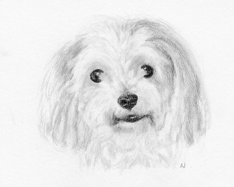 Custom Printable Pet Drawing, Pencil Sketch From Photo, Digital File, Personalized Gift, Pet Memorial, Dog Drawing, Inklets image 6