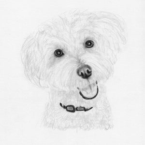 Custom Printable Pet Drawing, Pencil Sketch From Photo, Digital File, Personalized Gift, Pet Memorial, Dog Drawing, Inklets image 5