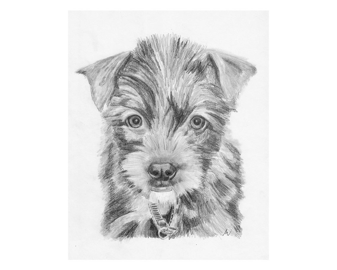 Custom Pet Portrait Hand Drawn PRINTABLE, Dog Art, Pencil Sketch From