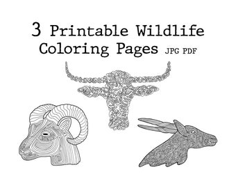 Páginas para colorear de vida silvestre, Eland, Banteng, Argali (Descarga digital)