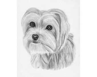 Custom Pet Portrait PRINTABLE, Dog Art, Pencil Sketch From Photo, Personalized Yorkie Art, Inklets