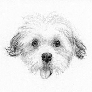 Custom Printable Pet Drawing, Pencil Sketch From Photo, Digital File, Personalized Gift, Pet Memorial, Dog Drawing, Inklets image 3