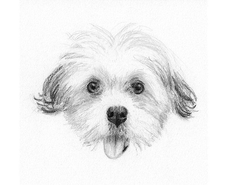 Custom Printable Pet Drawing, Pencil Sketch From Photo, Digital File, Personalized Gift, Pet Memorial, Dog Drawing, Inklets image 3