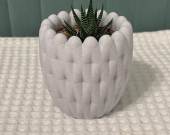 Textured Succulent Planter| Modern 3D Printed Desk Organizer